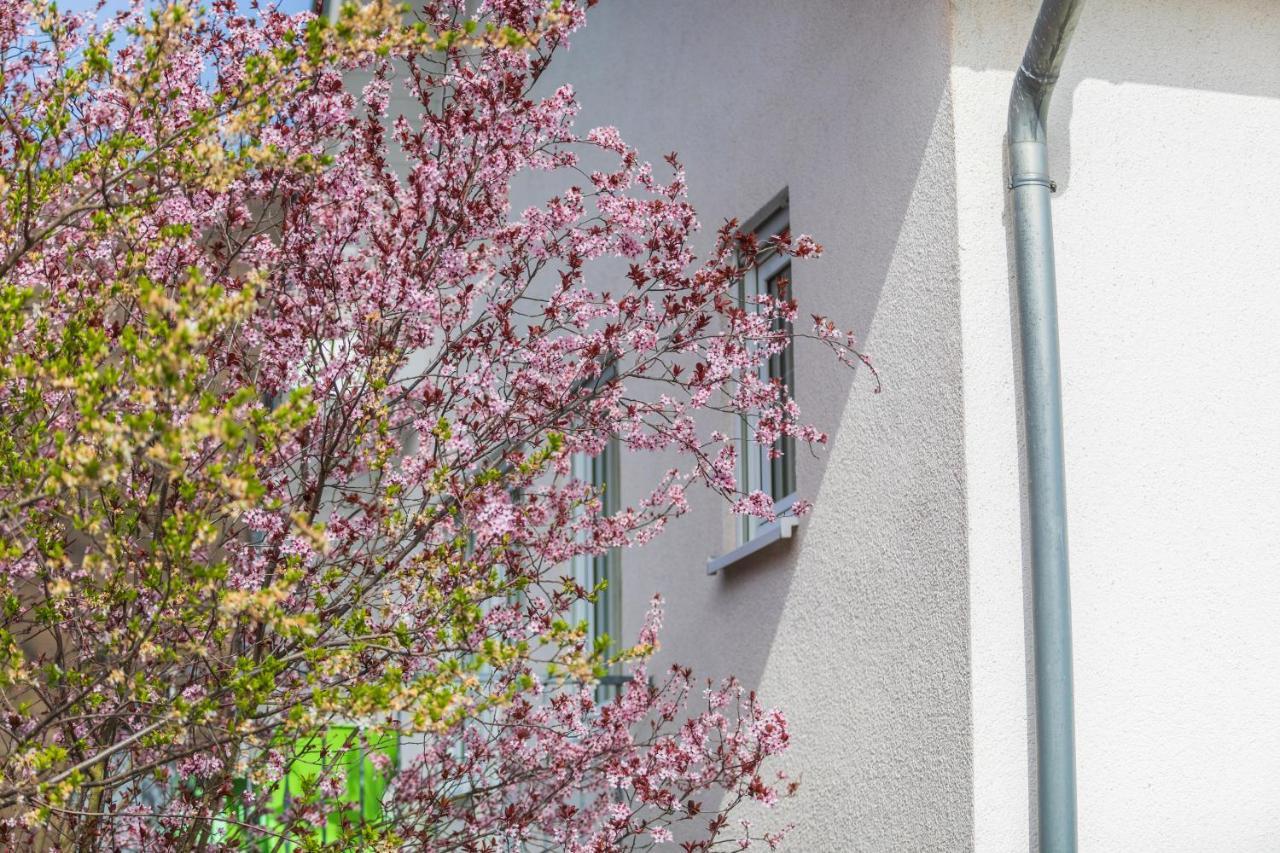 Haus Flora - Ferienwohnungen Кохем Экстерьер фото